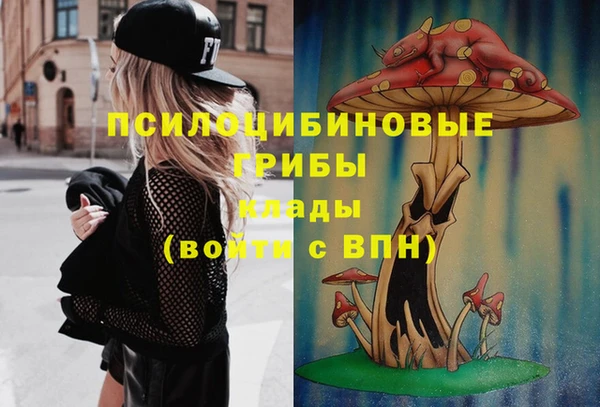 COCAINE Новодвинск