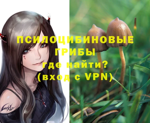 COCAINE Новодвинск