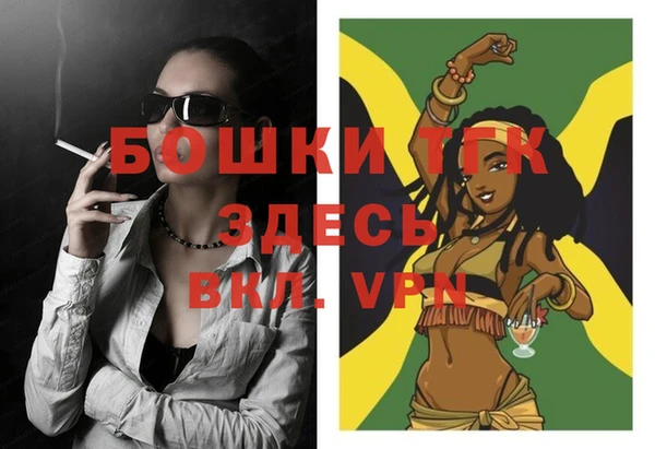 прущие крисы Новозыбков