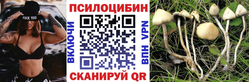 Купить  Лаишево  Галлюциногенные грибы мухоморы 